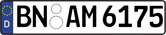BN-AM6175
