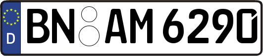 BN-AM6290