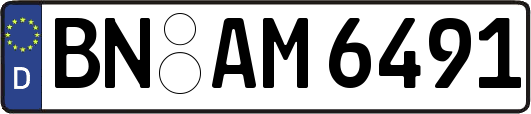 BN-AM6491