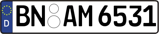 BN-AM6531
