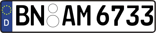 BN-AM6733