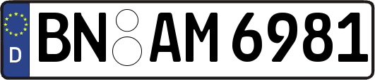 BN-AM6981