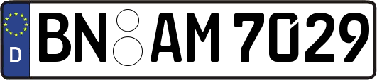 BN-AM7029