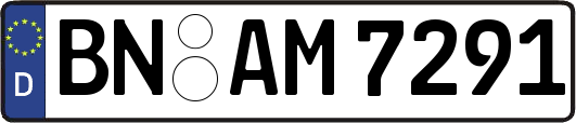 BN-AM7291