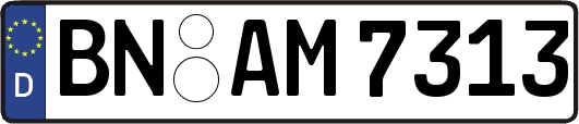 BN-AM7313