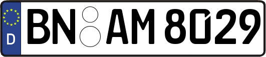 BN-AM8029