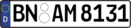 BN-AM8131