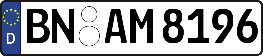 BN-AM8196