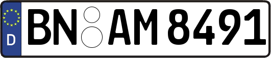BN-AM8491