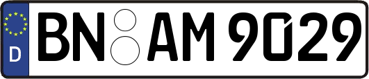 BN-AM9029