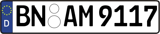 BN-AM9117