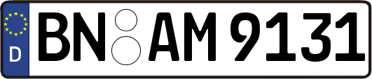 BN-AM9131