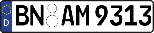 BN-AM9313