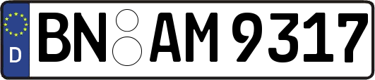 BN-AM9317
