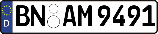 BN-AM9491
