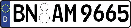 BN-AM9665