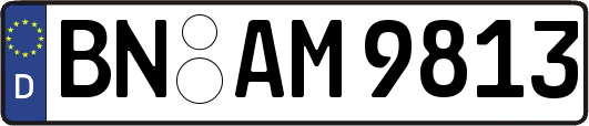 BN-AM9813