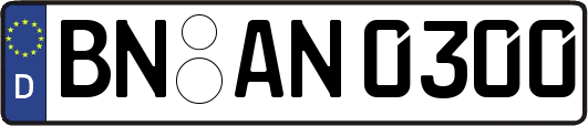 BN-AN0300