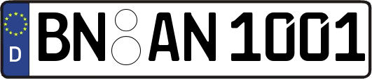 BN-AN1001