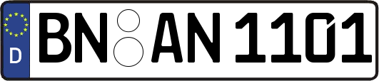 BN-AN1101
