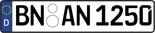 BN-AN1250