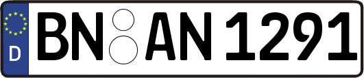 BN-AN1291
