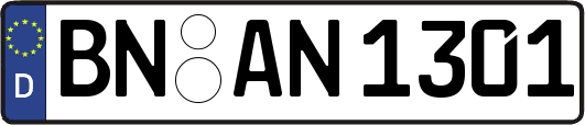 BN-AN1301
