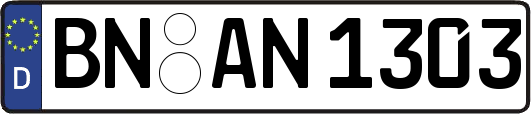 BN-AN1303