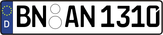 BN-AN1310