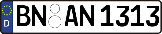 BN-AN1313