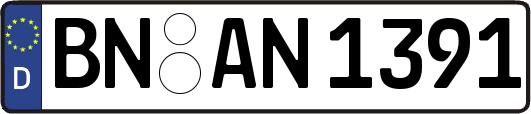 BN-AN1391