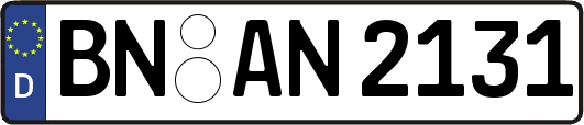 BN-AN2131