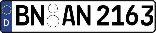 BN-AN2163