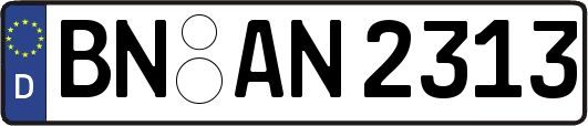 BN-AN2313