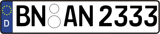 BN-AN2333