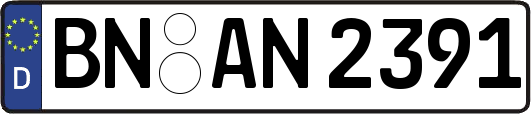 BN-AN2391