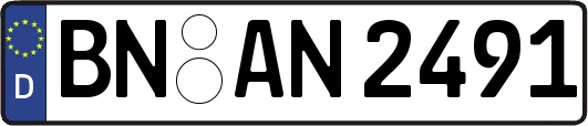 BN-AN2491