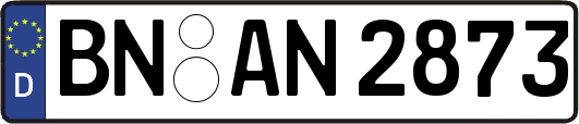 BN-AN2873