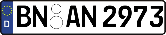 BN-AN2973