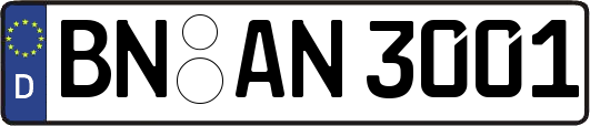 BN-AN3001
