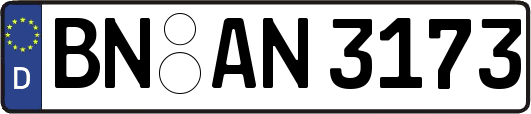 BN-AN3173