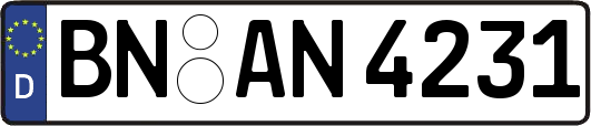 BN-AN4231
