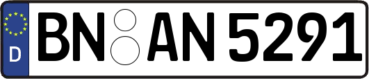 BN-AN5291