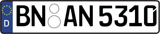 BN-AN5310