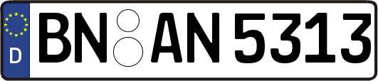 BN-AN5313