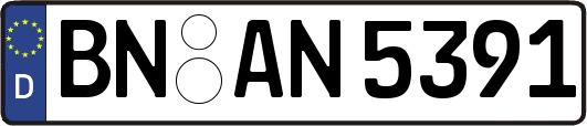 BN-AN5391