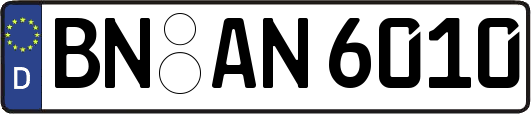 BN-AN6010