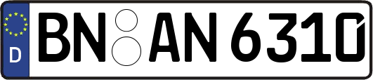 BN-AN6310