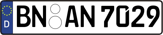 BN-AN7029