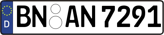 BN-AN7291